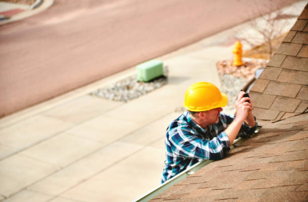 Best Metal Roofing Contractor  in Woodland Park, CO