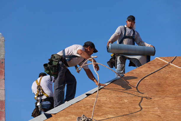 Best Sealant for Roof  in Woodland Park, CO