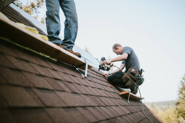 Best Roof Replacement Cost  in Woodland Park, CO