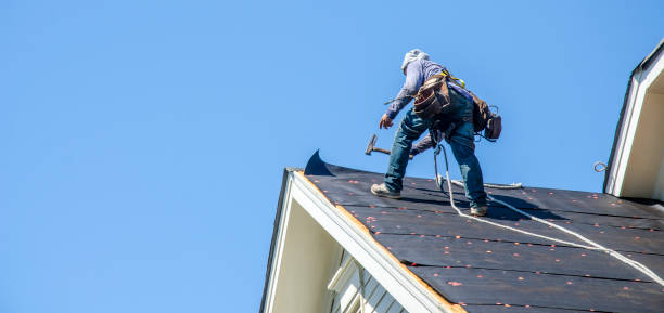 Best Shingle Roofing Installation  in Woodland Park, CO